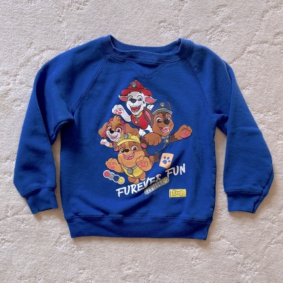 Paw Patrol Other - 5T Paw Patrol Sweatshirt with Cartoon Characters